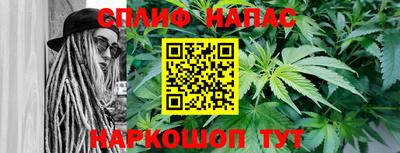 стафф Краснодар