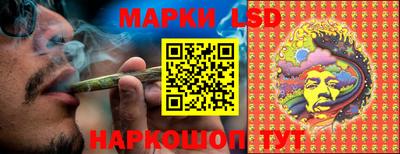 mdpv Краснознаменск